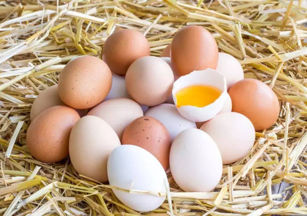 Beyaz mı kahverengi mi? Hangi yumurta daha sağlıklı? 41
